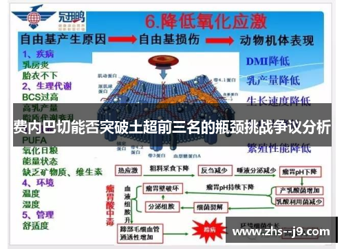 费内巴切能否突破土超前三名的瓶颈挑战争议分析 费内巴切能否突破土超前三名的瓶颈挑战争议分析