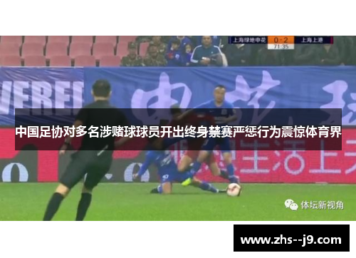 中国足协对多名涉赌球球员开出终身禁赛严惩行为震惊体育界 中国足协对多名涉赌球球员开出终身禁赛严惩行为震惊体育界