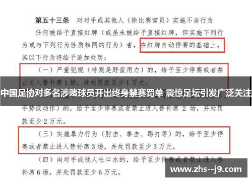 中国足协对多名涉赌球员开出终身禁赛罚单 震惊足坛引发广泛关注 中国足协对多名涉赌球员开出终身禁赛罚单 震惊足坛引发广泛关注